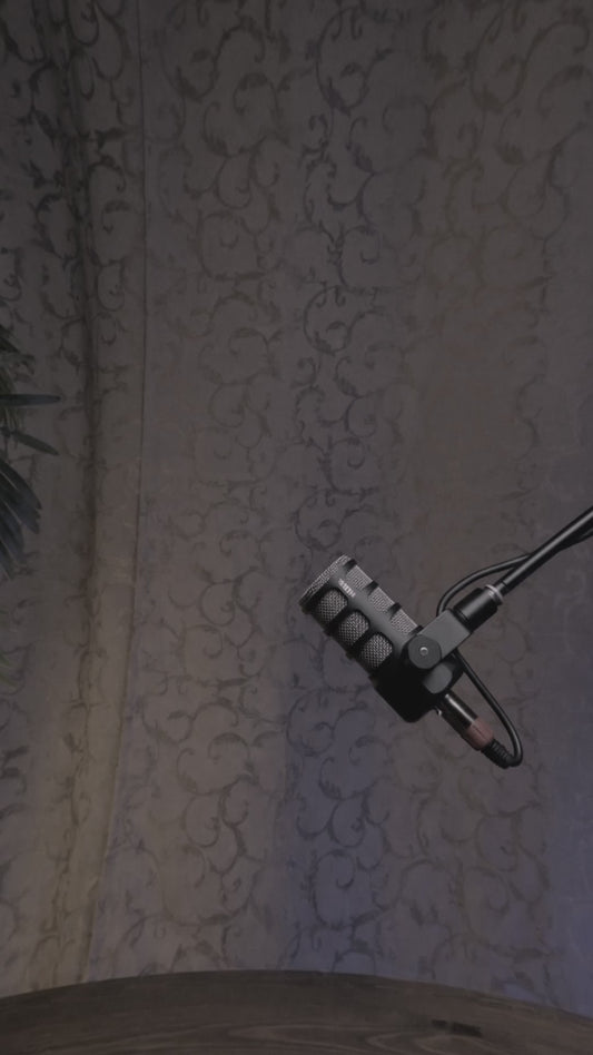 Free 3D Spin Setup – After Effects Project File